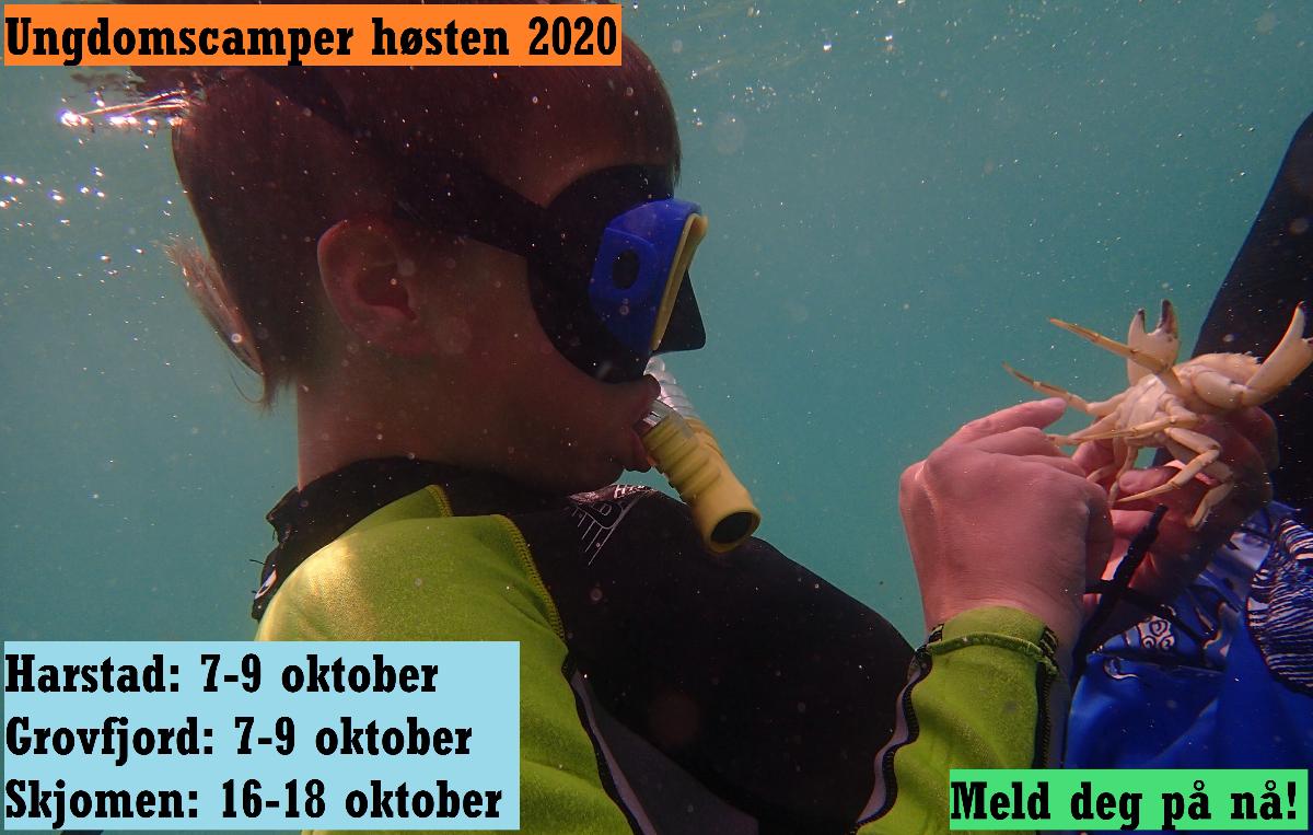 Ungdomscamper høsten 2020 - headerbilde